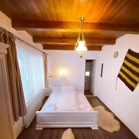 Guest house Conacul Birtoc