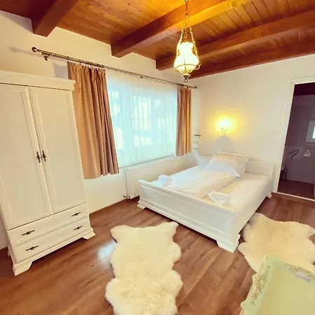 Conacul Birtoc Guest house Valeni (Maramures)