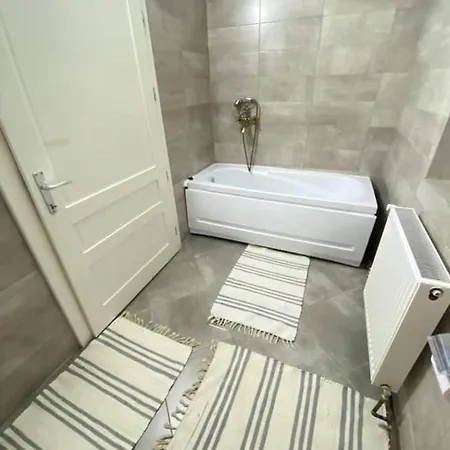 Conacul Birtoc Guest house *