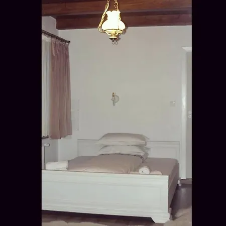 Conacul Birtoc Guest house