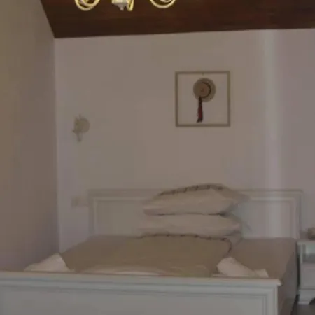 Conacul Birtoc Guest house