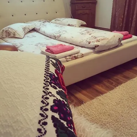 Guest house Conacul Birtoc