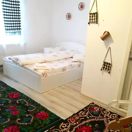 Guest house Conacul Birtoc