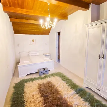 Conacul Birtoc Guest house