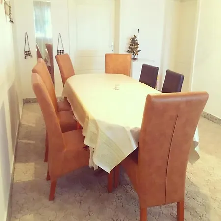 Conacul Birtoc Guest house *